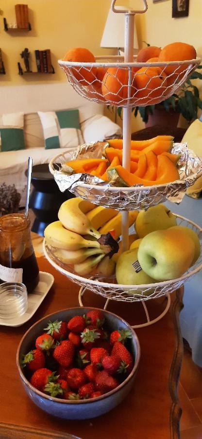 Hotel Le Siecle Mazan Ngoại thất bức ảnh